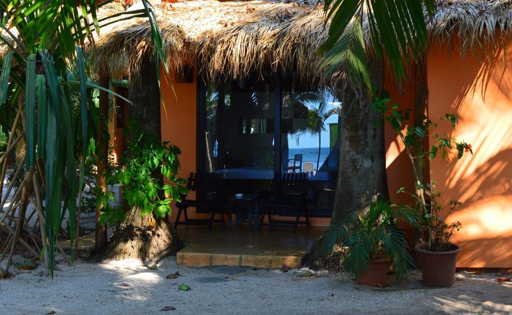 Gasthaus La Palapa Tamarindo Zimmer foto