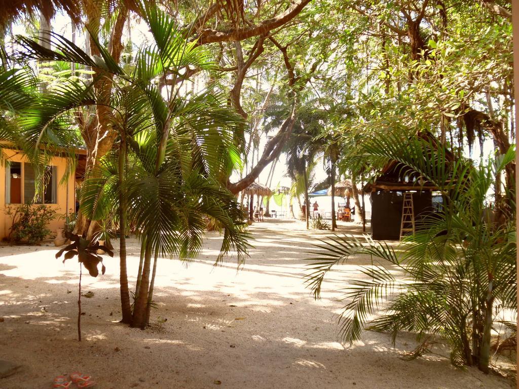 Gasthaus La Palapa Tamarindo Zimmer foto